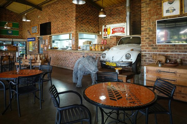 Quels sont les meilleurs conseils pour faire des rouleaux de printemps frais et croquants?