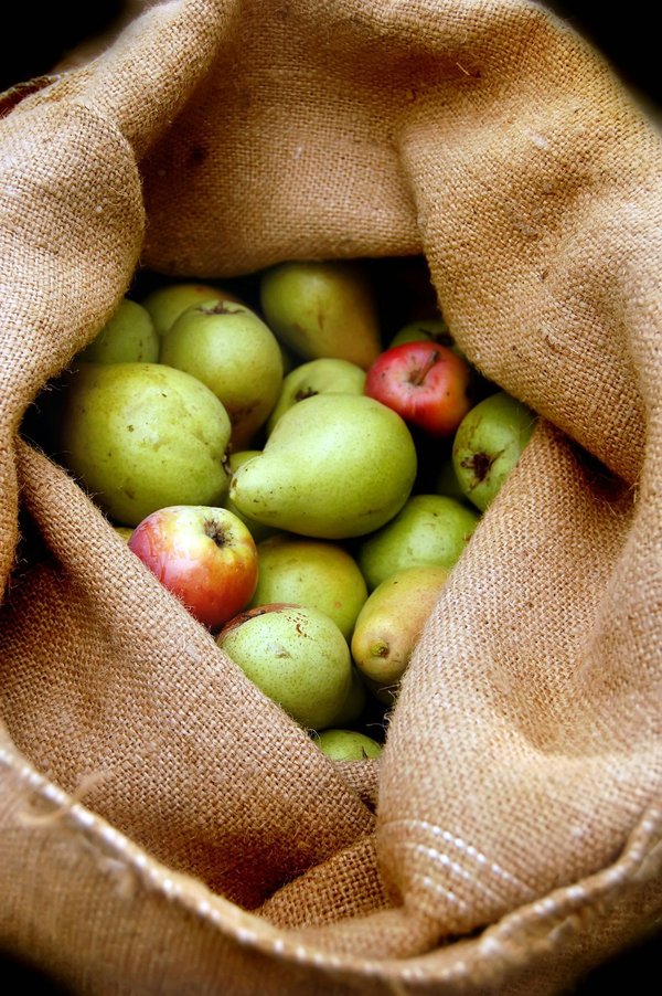 Comment faire des chips de kale au four sans huile pour une collation croustillante et saine ?